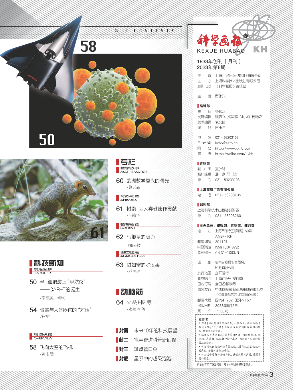 目录