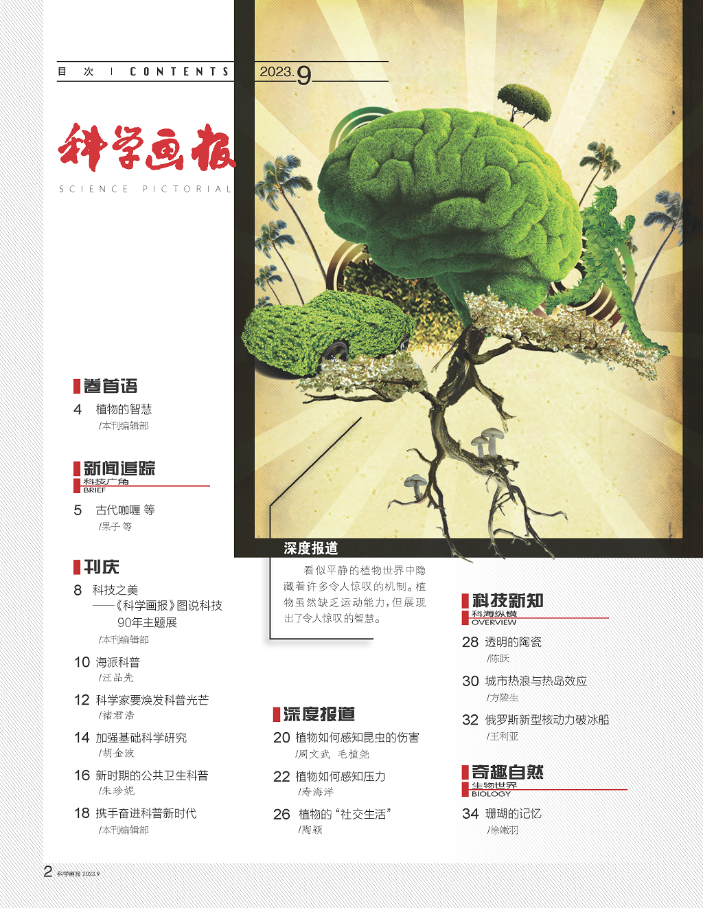 目录