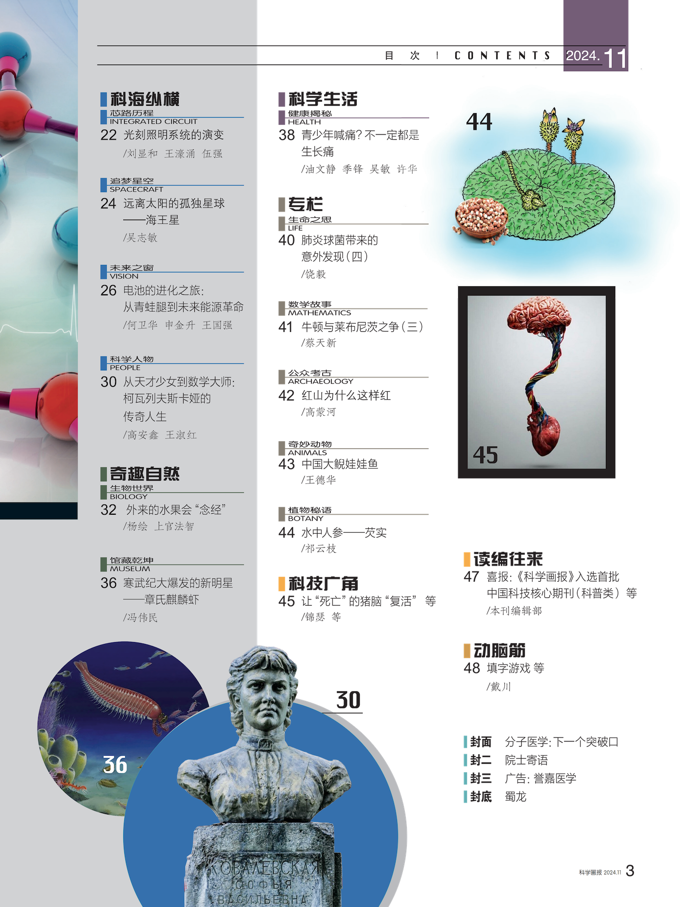 目录