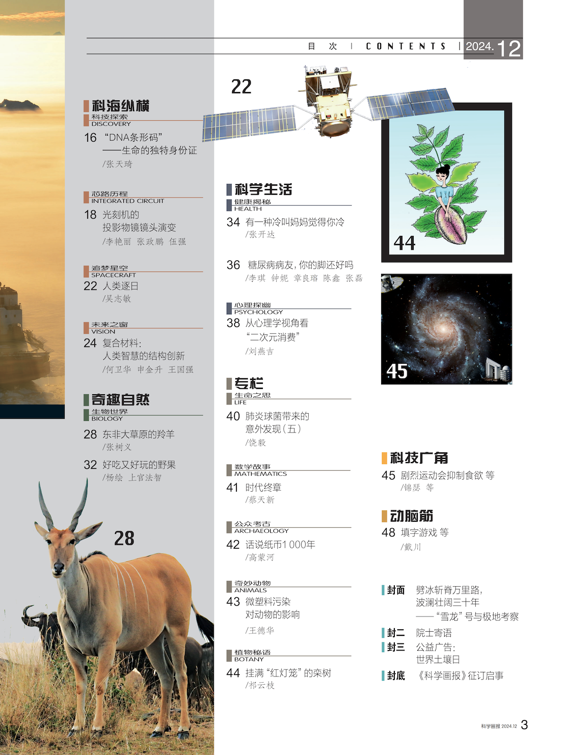 目录