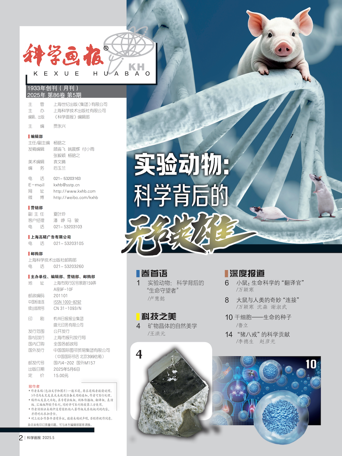 目录