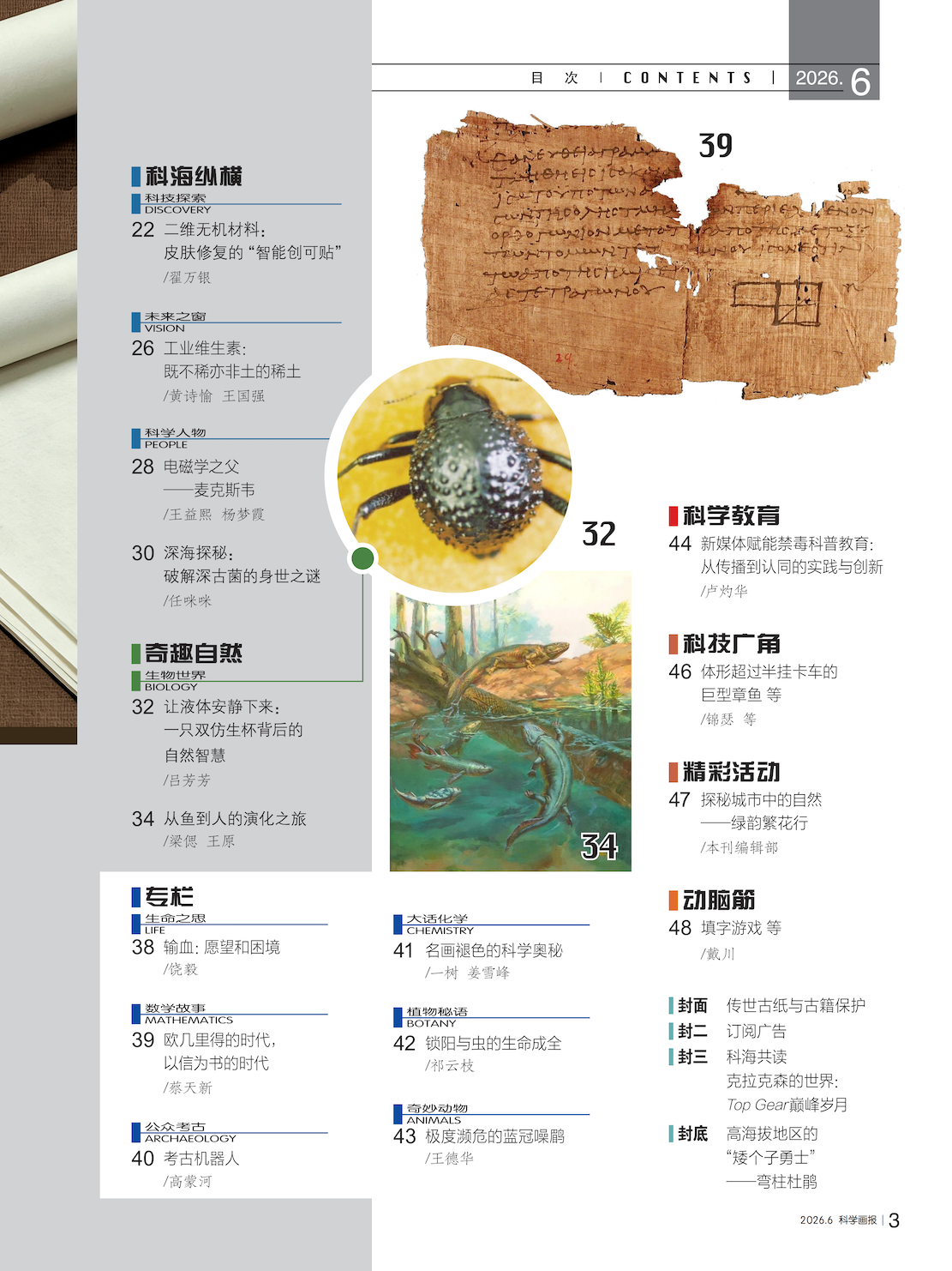 目录